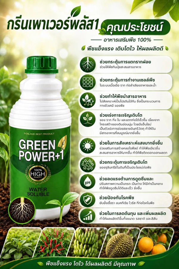 กรีนเพาเวอร์พลัส1