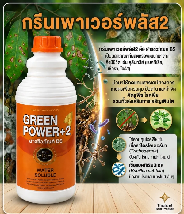 กรีนเพาเวอร์พลัส2